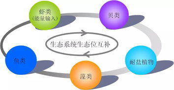 浙江省海洋水產研究所多生態位設施化耦合養殖技術開發及應用榮獲省科技進步三等獎